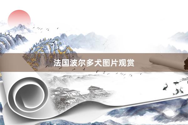 法国波尔多犬图片观赏